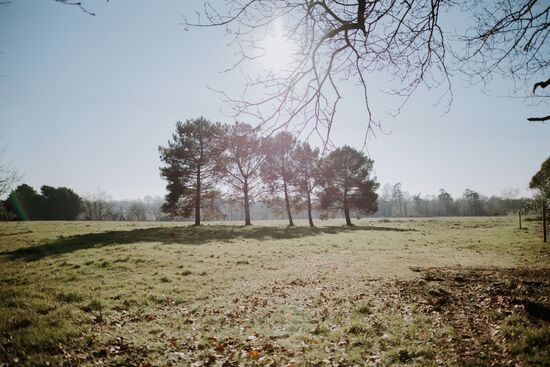 Shooting extérieur - janvier 2025 - extérieur jardin - Domaine de Meslay